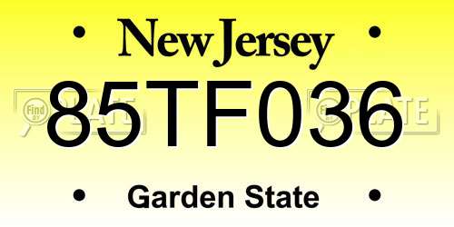 85TF036 New Jersey License Plate
