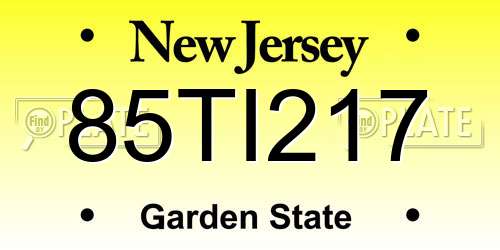 85TI217 New Jersey License Plate