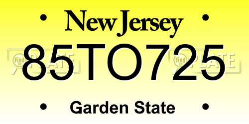 85TO725 New Jersey License Plate