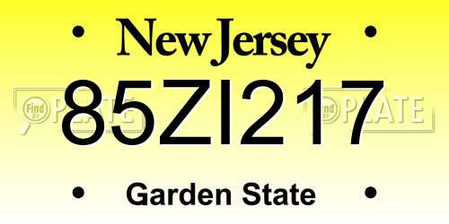 85ZI217 New Jersey License Plate