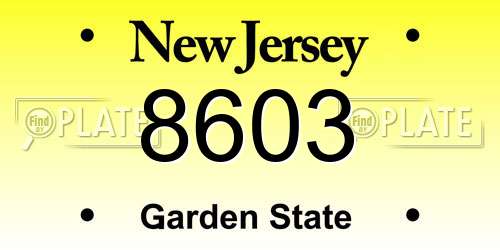 8603 New Jersey License Plate