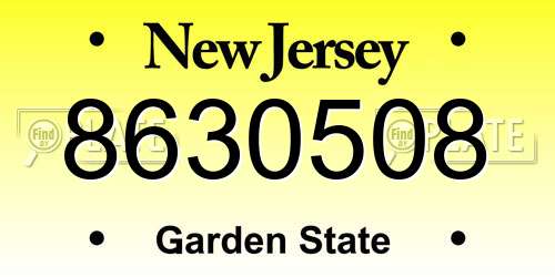8630508 New Jersey License Plate