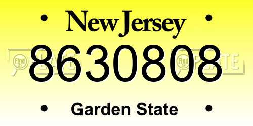 8630808 New Jersey License Plate