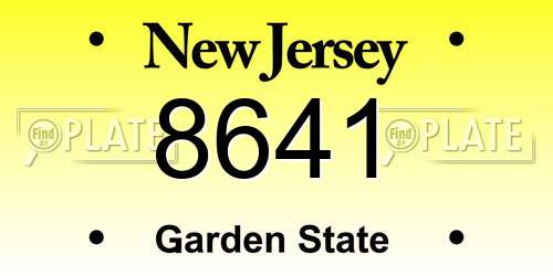 8641 New Jersey License Plate
