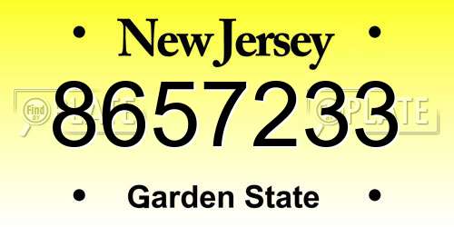 8657233 New Jersey License Plate