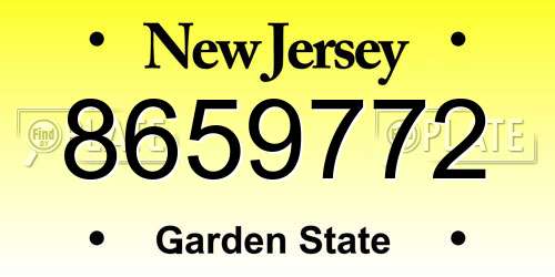 8659772 New Jersey License Plate