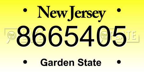 8665405 New Jersey License Plate