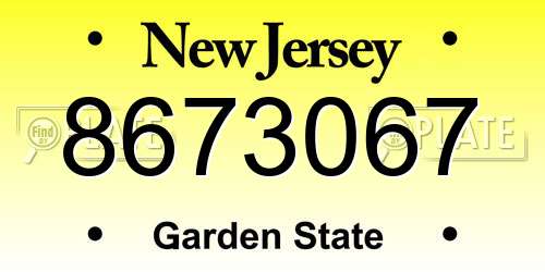 8673067 New Jersey License Plate