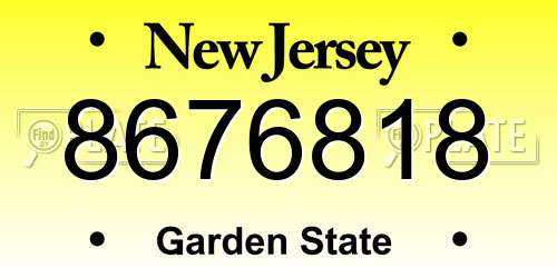 8676818 New Jersey License Plate