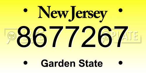 8677267 New Jersey License Plate