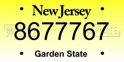 8677767 New Jersey License Plate