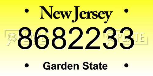8682233 New Jersey License Plate