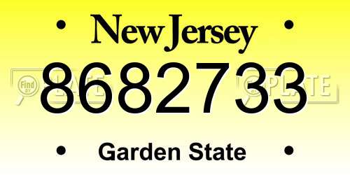 8682733 New Jersey License Plate
