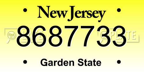 8687733 New Jersey License Plate