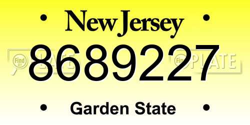 8689227 New Jersey License Plate