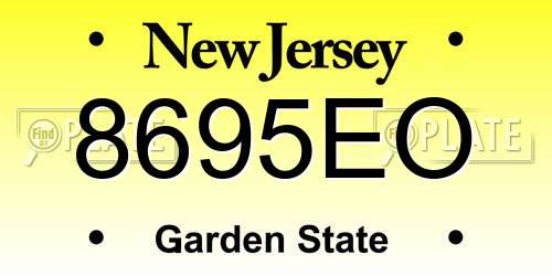 8695EO New Jersey License Plate