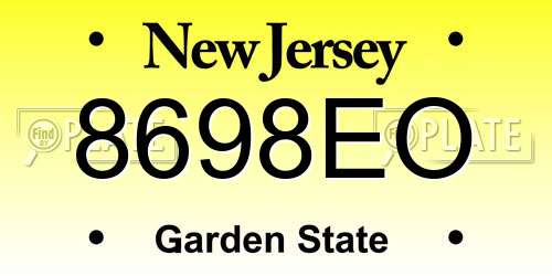 8698EO New Jersey License Plate