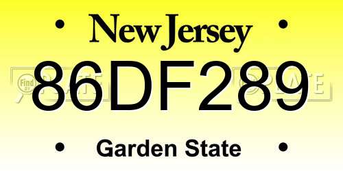 86DF289 New Jersey License Plate