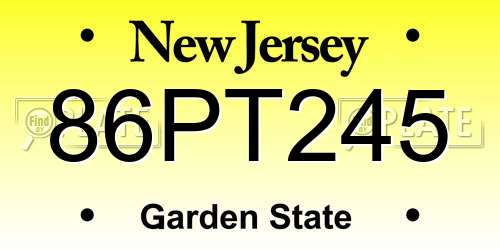 86PT245 New Jersey License Plate