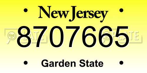 8707665 New Jersey License Plate