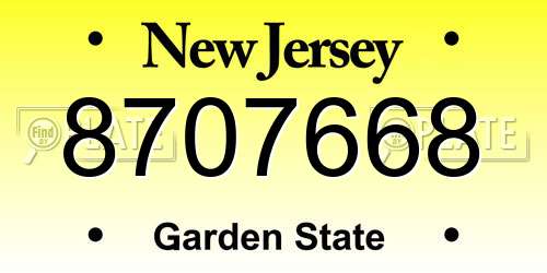 8707668 New Jersey License Plate