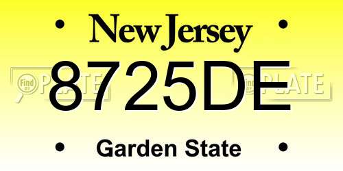8725DE New Jersey License Plate