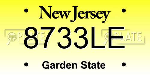 8733LE New Jersey License Plate