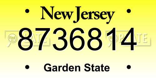 8736814 New Jersey License Plate