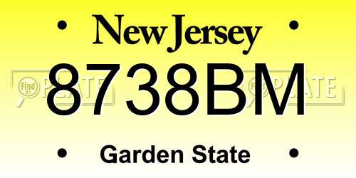 8738BM New Jersey License Plate