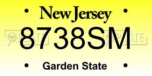 8738SM New Jersey License Plate