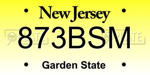 873BSM New Jersey License Plate