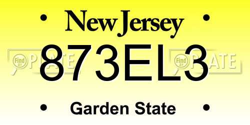 873EL3 New Jersey License Plate