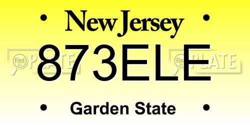 873ELE New Jersey License Plate