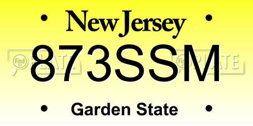 873SSM New Jersey License Plate