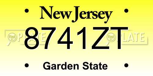 8741ZT New Jersey License Plate