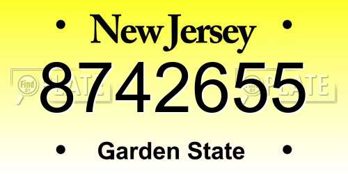 8742655 New Jersey License Plate