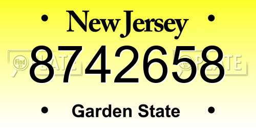 8742658 New Jersey License Plate