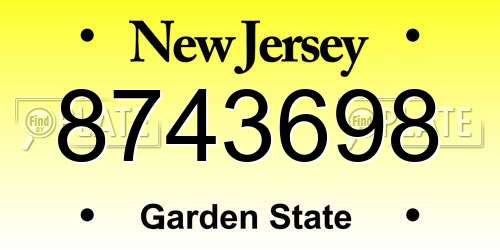 8743698 New Jersey License Plate