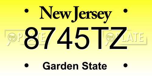 8745TZ New Jersey License Plate