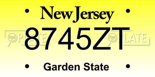 8745ZT New Jersey License Plate