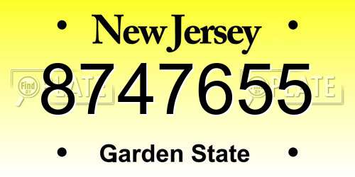 8747655 New Jersey License Plate