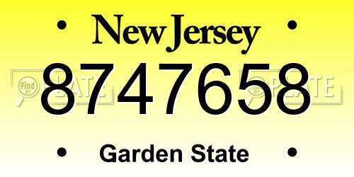 8747658 New Jersey License Plate