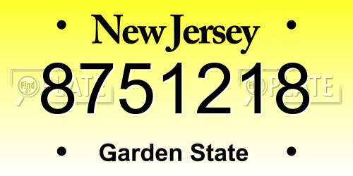 8751218 New Jersey License Plate