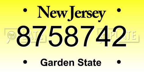 8758742 New Jersey License Plate