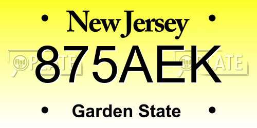 875AEK New Jersey License Plate