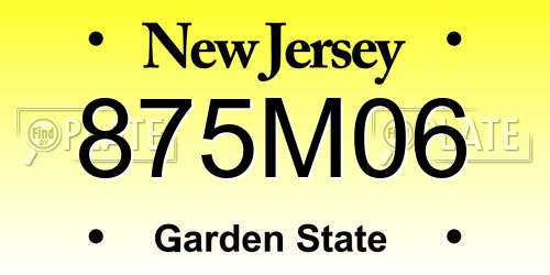 875M06 New Jersey License Plate
