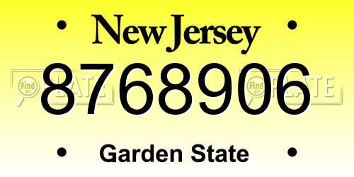 8768906 New Jersey License Plate