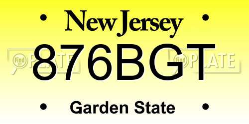 876BGT New Jersey License Plate