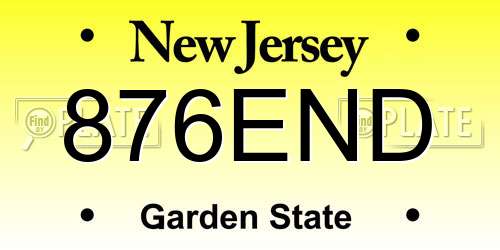 876END New Jersey License Plate