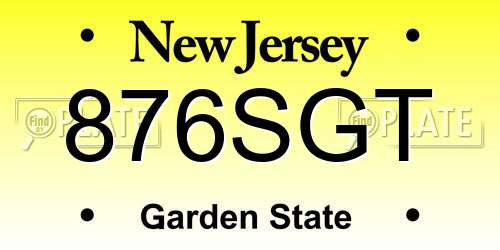876SGT New Jersey License Plate